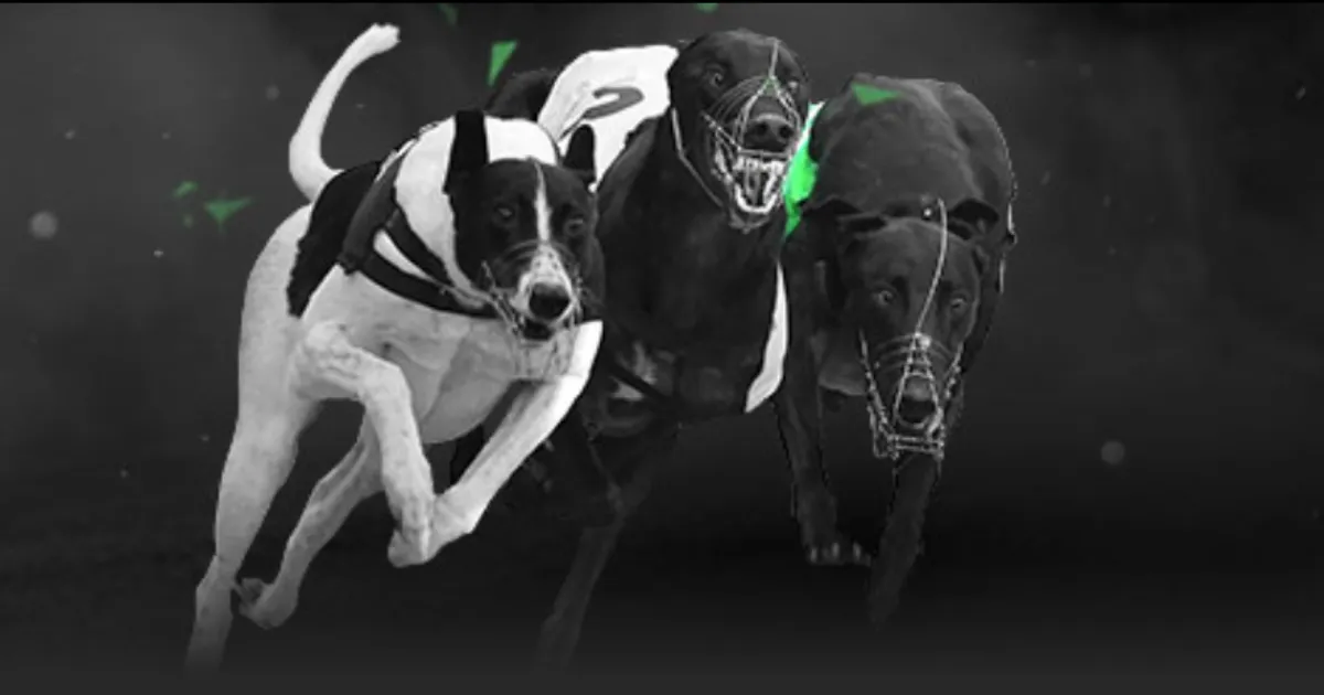 英超探讨增,加国内转播,赛事,ebpay承兑,ebpay钱包,ebpay官网