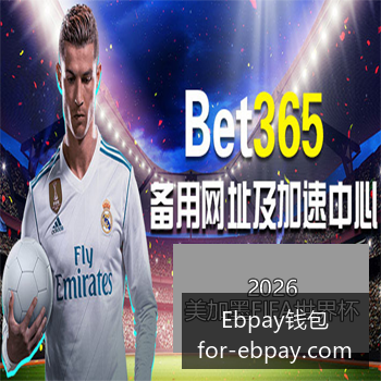 互联网大厂,发布,年财报,Ebpay钱包官网,Ebpay,2026支付,Ebpay数字资产,Ebpay安全交易
