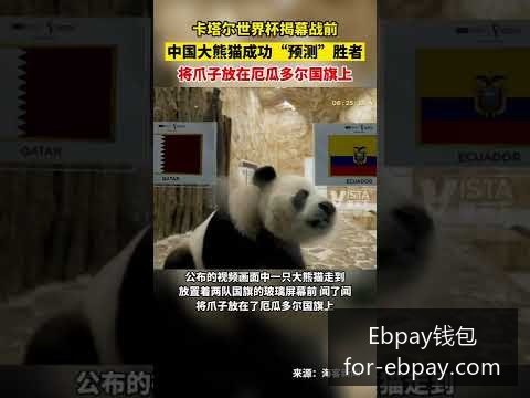 世界杯下注,市场火爆,警方已加强,Ebpay钱包官网,Ebpay,2026支付,Ebpay数字资产,Ebpay安全交易