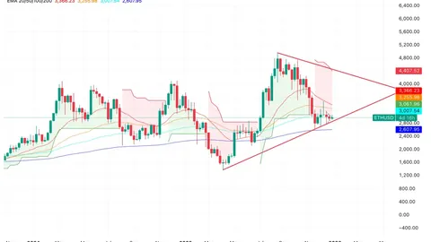 陈冠希机上斥责服务人员？其经纪人揭露真相：身为VIP会员，他享有优先离机资格