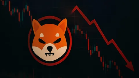 【惊喜大升级】三月盛启：OM币华丽蜕变，全新MANTRA币震撼登场！