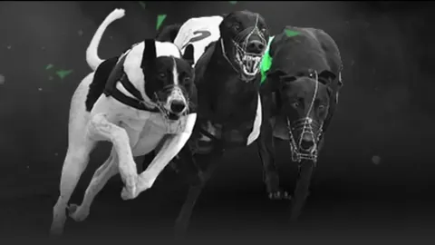 英超探讨增加国内转播赛事，与EFL签订财务伙伴协议