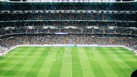 荷兰再创40年辉煌，数据暗示有望上半场斩落匈牙利