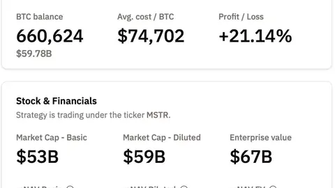 伊丽媛受邀参与2025年湖南卫视小年夜春晚，压轴献唱《百年再启航》
