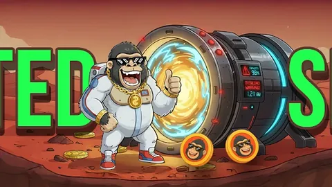 何炅生日惊喜，杜海涛送伞共祝美好时光